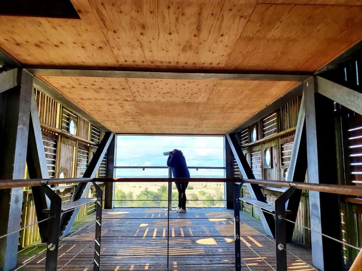 4P Chalet Tolve Met 4 Fietsen Vlakbij Natuurgebieden Drents Friese Wold, Fochteloerveen En Gevangenisdorp Veenhuizen Oosterwolde  Esterno foto