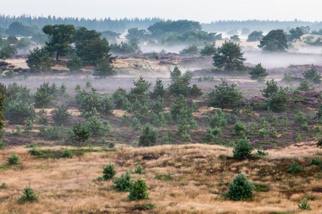 4P Chalet Tolve Met 4 Fietsen Vlakbij Natuurgebieden Drents Friese Wold, Fochteloerveen En Gevangenisdorp Veenhuizen Oosterwolde  Esterno foto